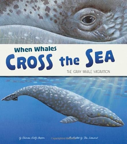 Stock image for When Whales Cross the Sea: The Gray Whale Migration (Extraordinary Migrations) for sale by SecondSale