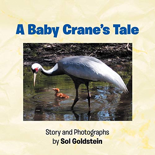 A Baby Crane's Tale (9781479739288) by Goldstein, Dr Sol