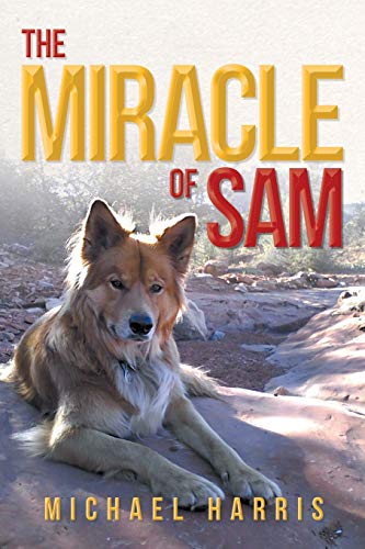 Beispielbild fr The Miracle of Sam zum Verkauf von WorldofBooks