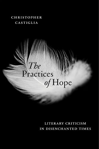 Stock image for The Practices of Hope: Literary Criticism in Disenchanted Times for sale by Daedalus Books