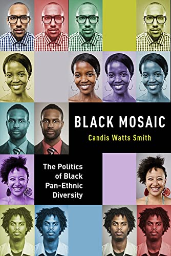 Beispielbild fr Black Mosaic: The Politics of Black Pan-Ethnic Diversity zum Verkauf von AwesomeBooks