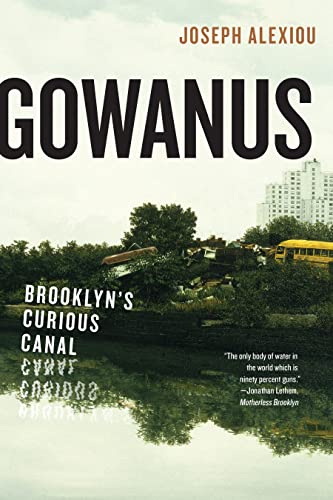 9781479806058: Gowanus: Brooklyn's Curious Canal