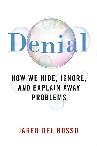 Beispielbild fr Denial : How We Hide, Ignore, and Explain Away Problems zum Verkauf von Better World Books: West