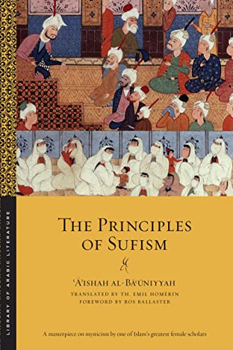 Beispielbild fr The Principles of Sufism zum Verkauf von Revaluation Books