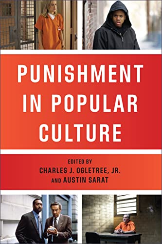 9781479833528: Punishment in Popular Culture