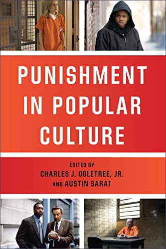 Stock image for Punishment in Popular Culture (The Charles Hamilton Houston Institute Series on Race and Justice) for sale by More Than Words