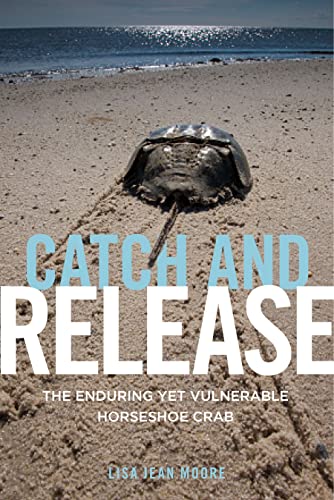 Stock image for Catch and Release: The Enduring Yet Vulnerable Horseshoe Crab for sale by PlumCircle
