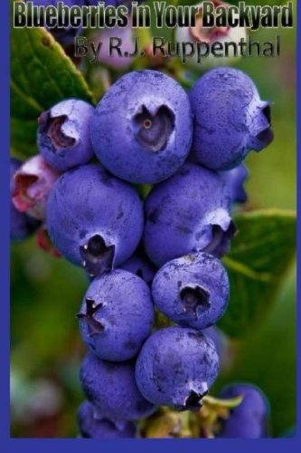 Beispielbild fr Blueberries in Your Backyard: How to Grow America's Hottest Antioxidant Fruit for Food, Health, and Extra Money zum Verkauf von Revaluation Books