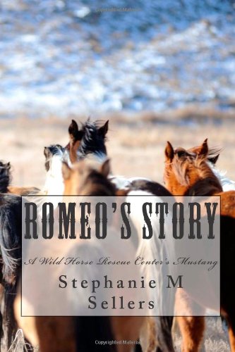 Stock image for Romeo's Story: A Wild Horse Rescue Center's Mustang for sale by Revaluation Books