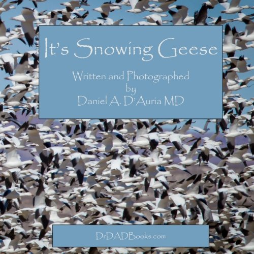 Beispielbild fr It's Snowing Geese zum Verkauf von -OnTimeBooks-