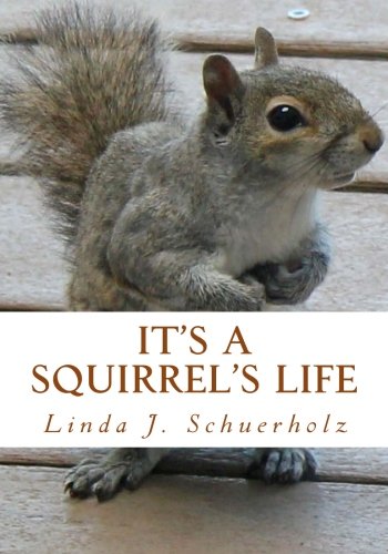 9781480204423: It's a Squirrel's Life: a Tale of Stress and Misunderstanding
