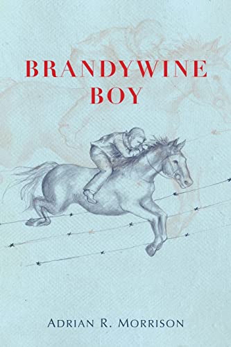 Stock image for Brandywine Boy for sale by Open Books