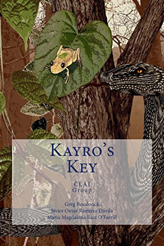 9781480256590: Kayro's Key