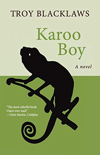 Imagen de archivo de Karoo Boy a la venta por ThriftBooks-Dallas