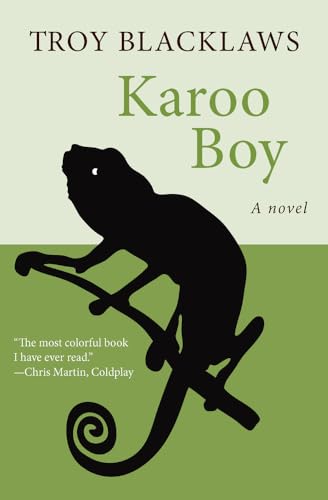 9781480417823: Karoo Boy: A Novel