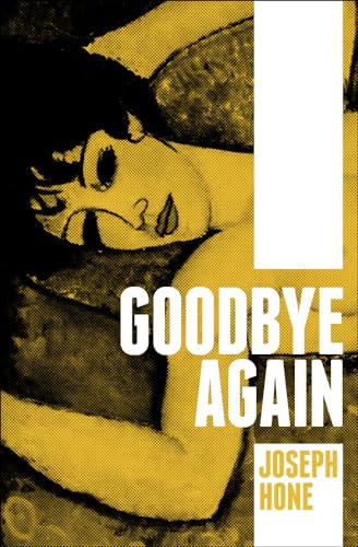 Beispielbild fr Goodbye Again zum Verkauf von Russell Books