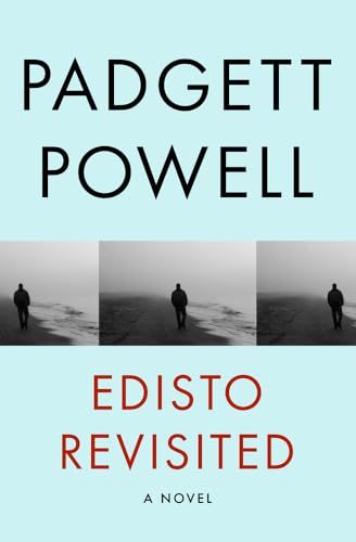 Beispielbild fr Edisto Revisited: A Novel zum Verkauf von BooksRun