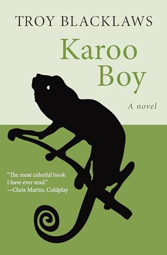 9781480480841: Karoo Boy: A Novel