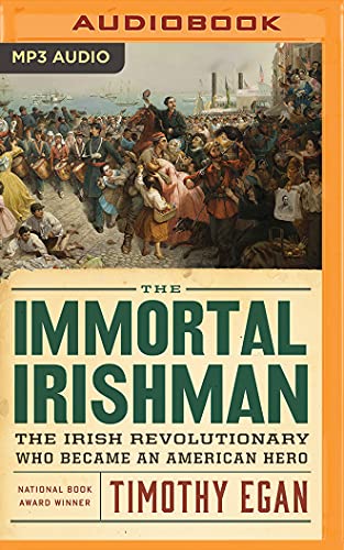 Stock image for The Immortal Irishman: The Irish Revolutionary Who Became an American Hero for sale by Revaluation Books