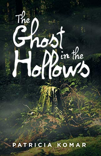 Beispielbild fr The Ghost in the Hollows zum Verkauf von Chiron Media