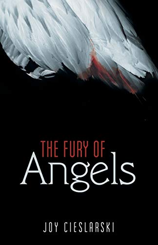 Imagen de archivo de The Fury of Angels a la venta por Lucky's Textbooks