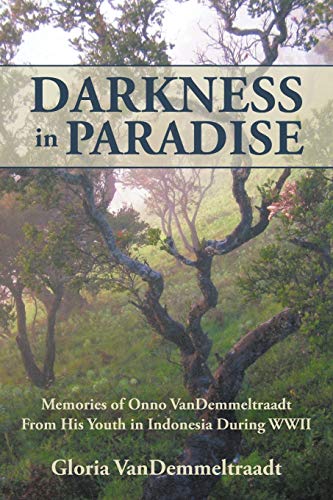 Stock image for Darkness in Paradise: Memories of Onno VanDemmeltraadt from His Youth in Indonesia during WWII for sale by Chiron Media