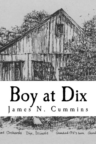 Imagen de archivo de Boy at Dix: Mostly True Stories of a Boyhood in Southern Illinois a la venta por Goodwill