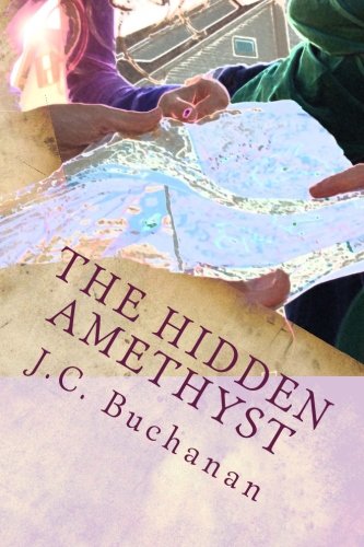 Imagen de archivo de The Hidden Amethyst a la venta por Goodwill Books