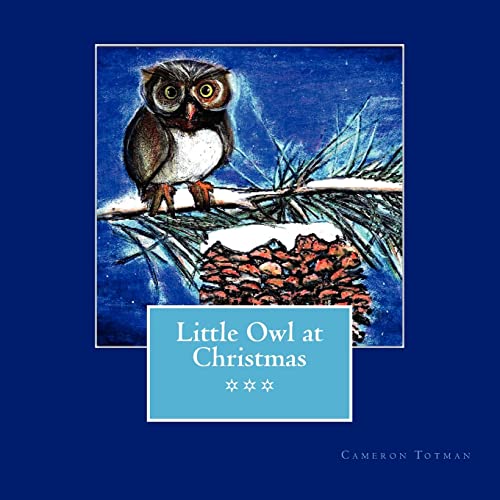 9781481069601: Little Owl at Christmas