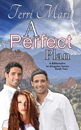 9781481072960: A Perfect Plan: A Billionaire in Disguise, Book 2: Volume 2