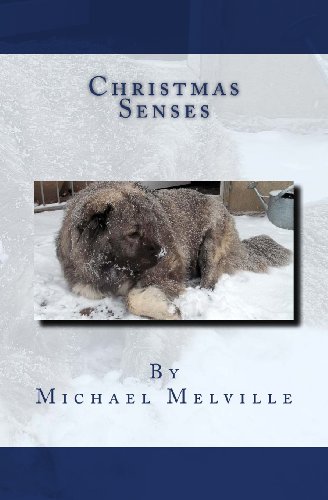 Imagen de archivo de Christmas Senses a la venta por Redux Books