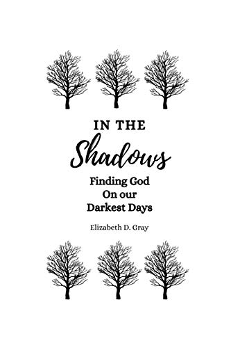 Beispielbild fr In the Shadows: Finding God on Our Darkest Days zum Verkauf von THE SAINT BOOKSTORE