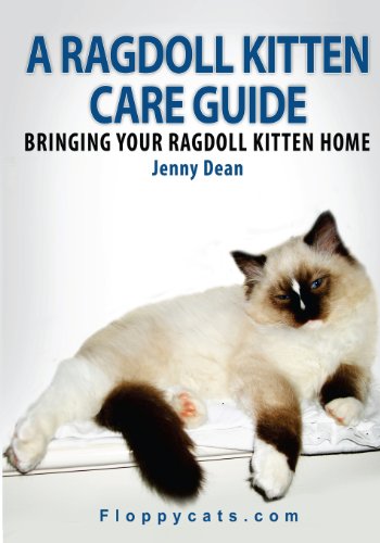 9781481107235: A Ragdoll Kitten Care Guide: Bringing Your Ragdoll Kitten Home