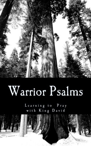 Imagen de archivo de Warrior Psalms: Learning to Pray with King David a la venta por HPB-Emerald