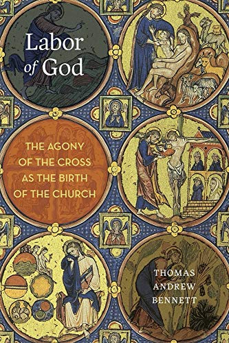 Beispielbild fr Labor of God: The Agony of the Cross as the Birth of the Church zum Verkauf von Buchpark