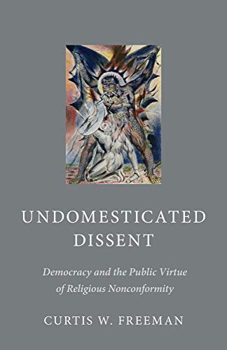 9781481306881: Undomesticated Dissent: Democracy and the Public Virtue of Religious Nonconformity