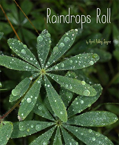 Stock image for Raindrops Roll for sale by Revaluation Books