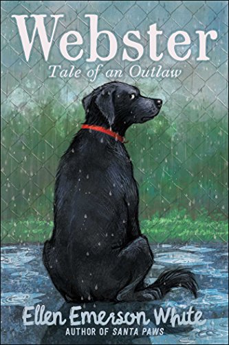Stock image for Webster: Tale of an Outlaw for sale by BooksRun