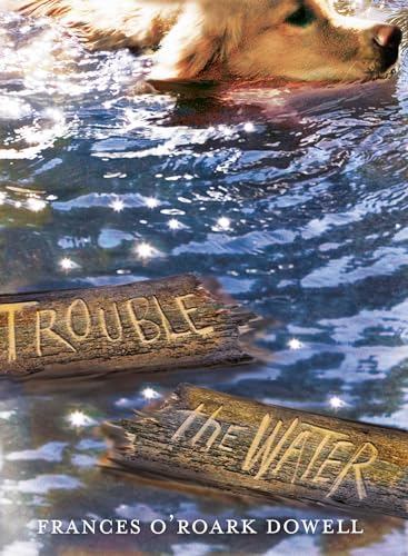 Beispielbild fr Trouble the Water zum Verkauf von Wonder Book