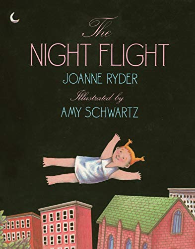 Beispielbild fr The Night Flight zum Verkauf von Better World Books