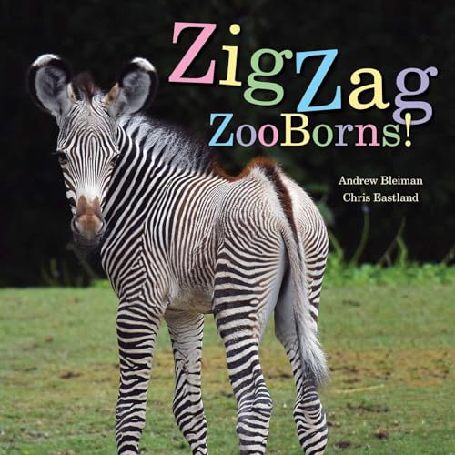 Beispielbild fr ZigZag ZooBorns! : Zoo Baby Colors and Patterns zum Verkauf von Better World Books