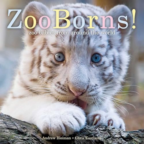 Beispielbild fr ZooBorns! : Zoo Babies from Around the World zum Verkauf von Better World Books