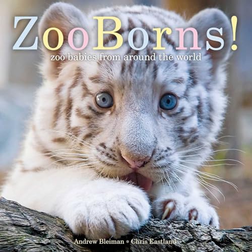 9781481447027: ZooBorns!: Zoo Babies from Around the World