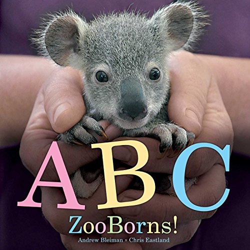 9781481447034: ABC ZooBorns!