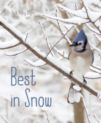 9781481459167: Best in Snow (Weather Walks)