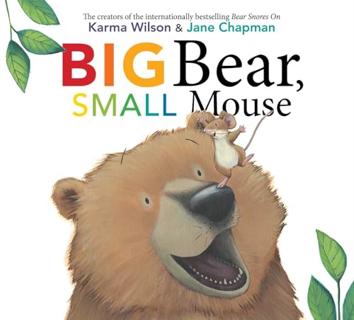 Imagen de archivo de Big Bear, Small Mouse (The Bear Books) a la venta por Dream Books Co.