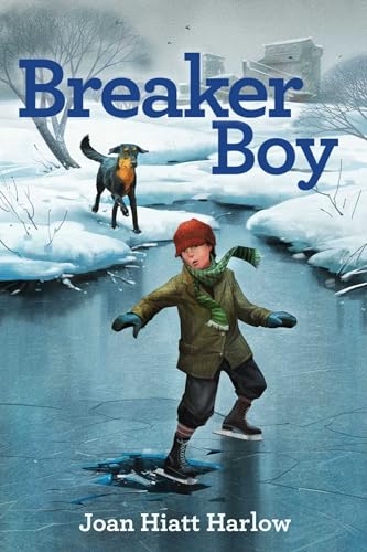 Stock image for Breaker Boy for sale by Once Upon A Time Books