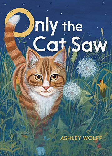 Beispielbild fr Only the Cat Saw zum Verkauf von Better World Books