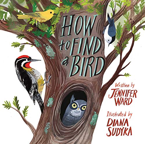 Beispielbild fr How to Find a Bird zum Verkauf von Dream Books Co.