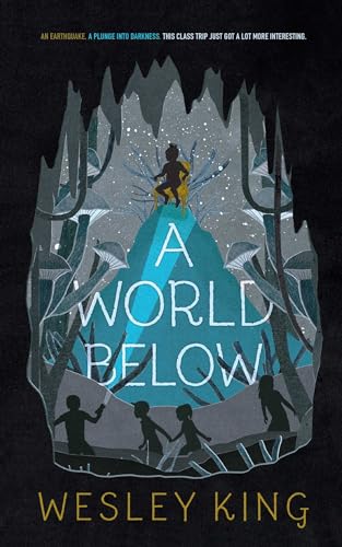 Imagen de archivo de A World Below a la venta por Ergodebooks